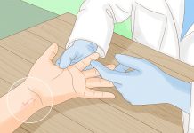 Bed Bugs: The Holiday Gift No One Wants Bed Bugs The Holiday Gift No One Wants