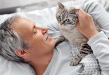 Think Your Allergies Prevent Companionship? How to Live with a Pet Think Your Allergies Prevent Companionship How to Live with a Pet