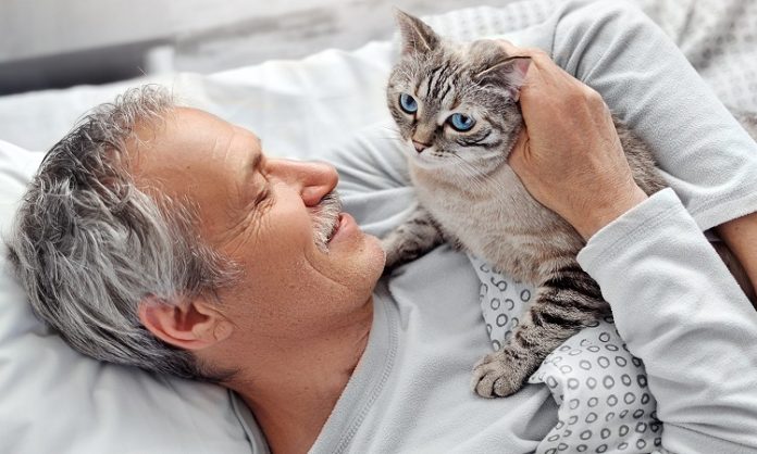 Think Your Allergies Prevent Companionship How to Live with a Pet