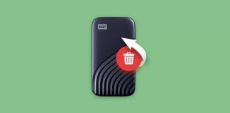 The Importance of Backups in Data Recovery