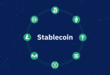 The Role of Stablecoins in the Global Economy The Role of Stablecoins in the Global Economy